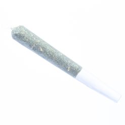 CBD Hemp Joints - 0.5 Gram