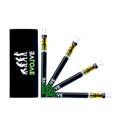 Evolve - Disposable Vape Pen (1 gram)