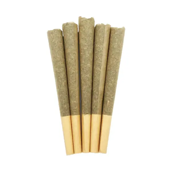 Premium 1g House Joints (Craft) - 5 Pack