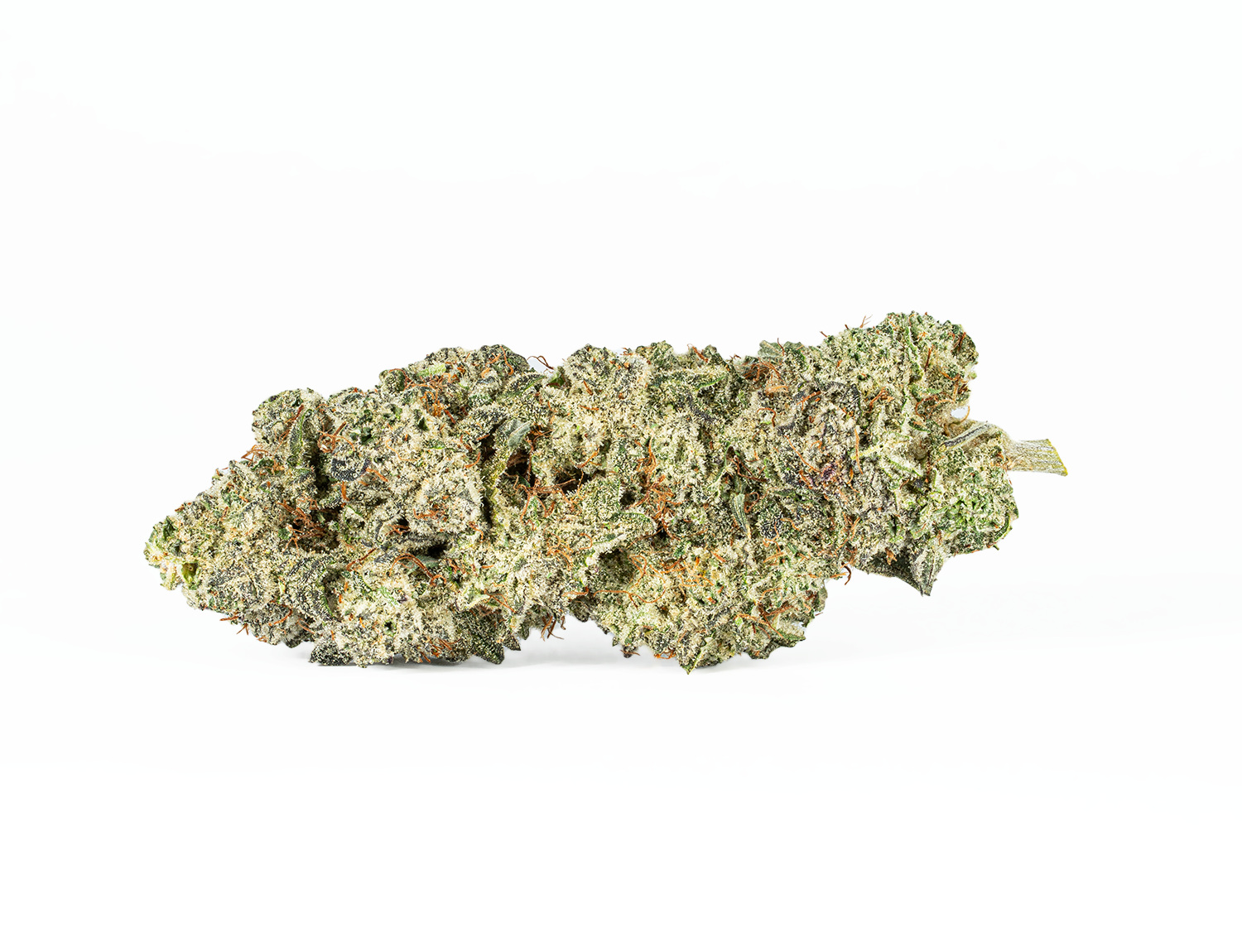 Slurricane (AA+) - Image 3