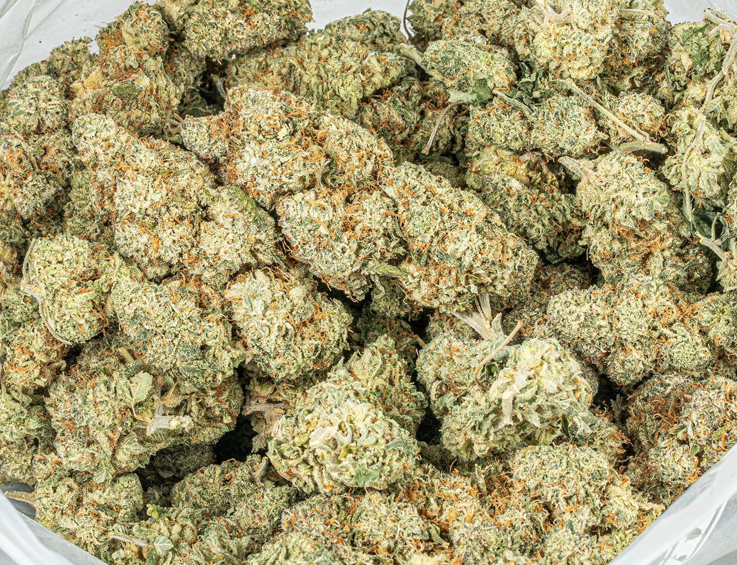 Strawberry Cough (AAA) - Image 4