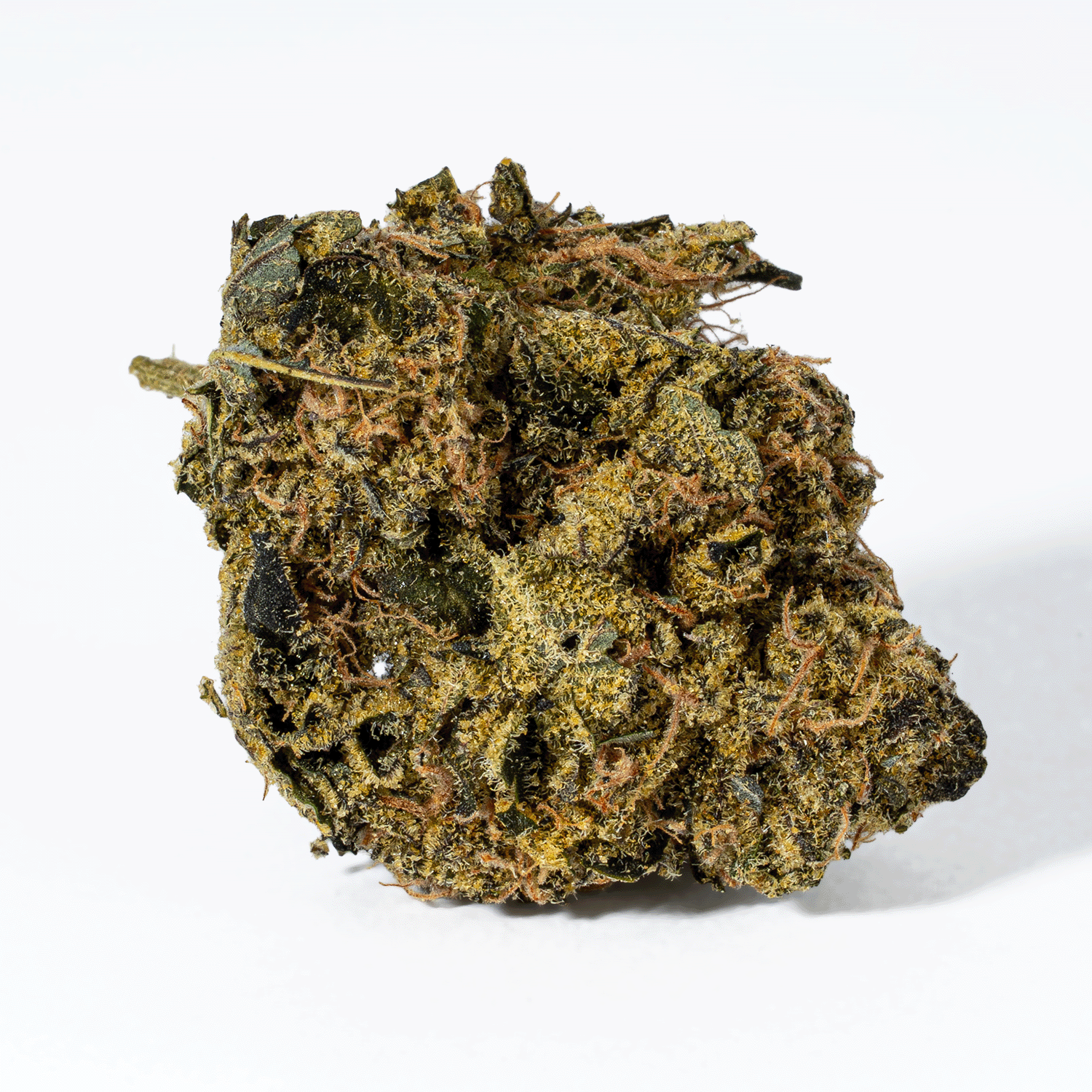 Cheese Wiz (AA) - Image 3