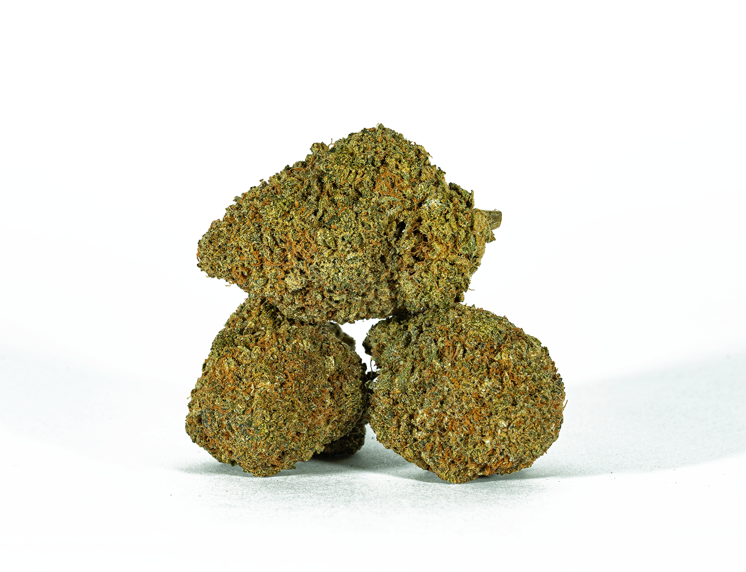 Beaver Tail (AA+) - Image 2