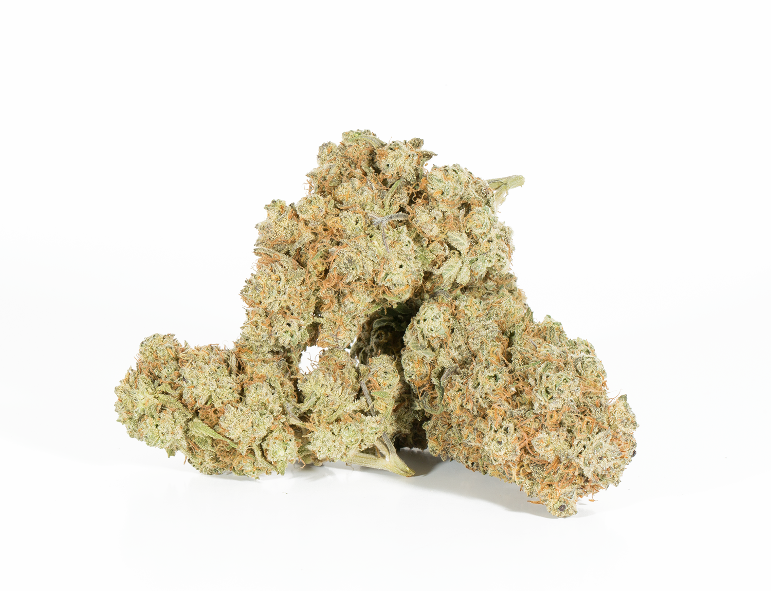 Beaver Tail (AA+) - Image 3