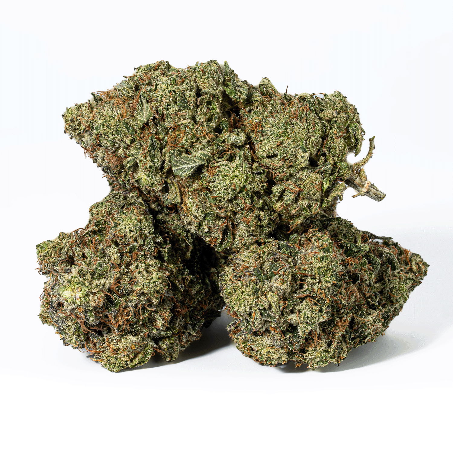 Champagne Pink (AAAA) - Image 2