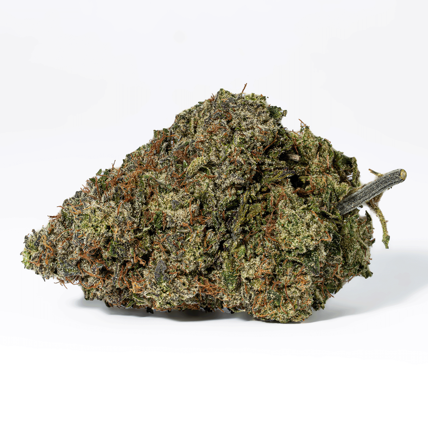 Champagne Pink (AAAA) - Image 3