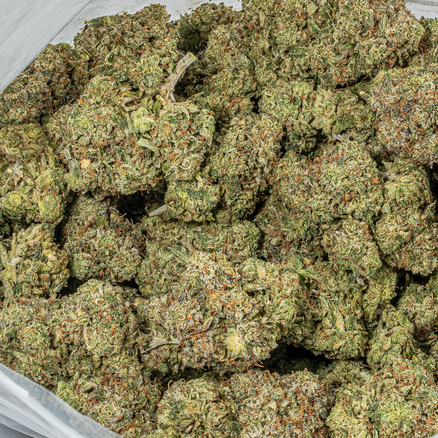 Champagne Pink (AAAA) - Image 5