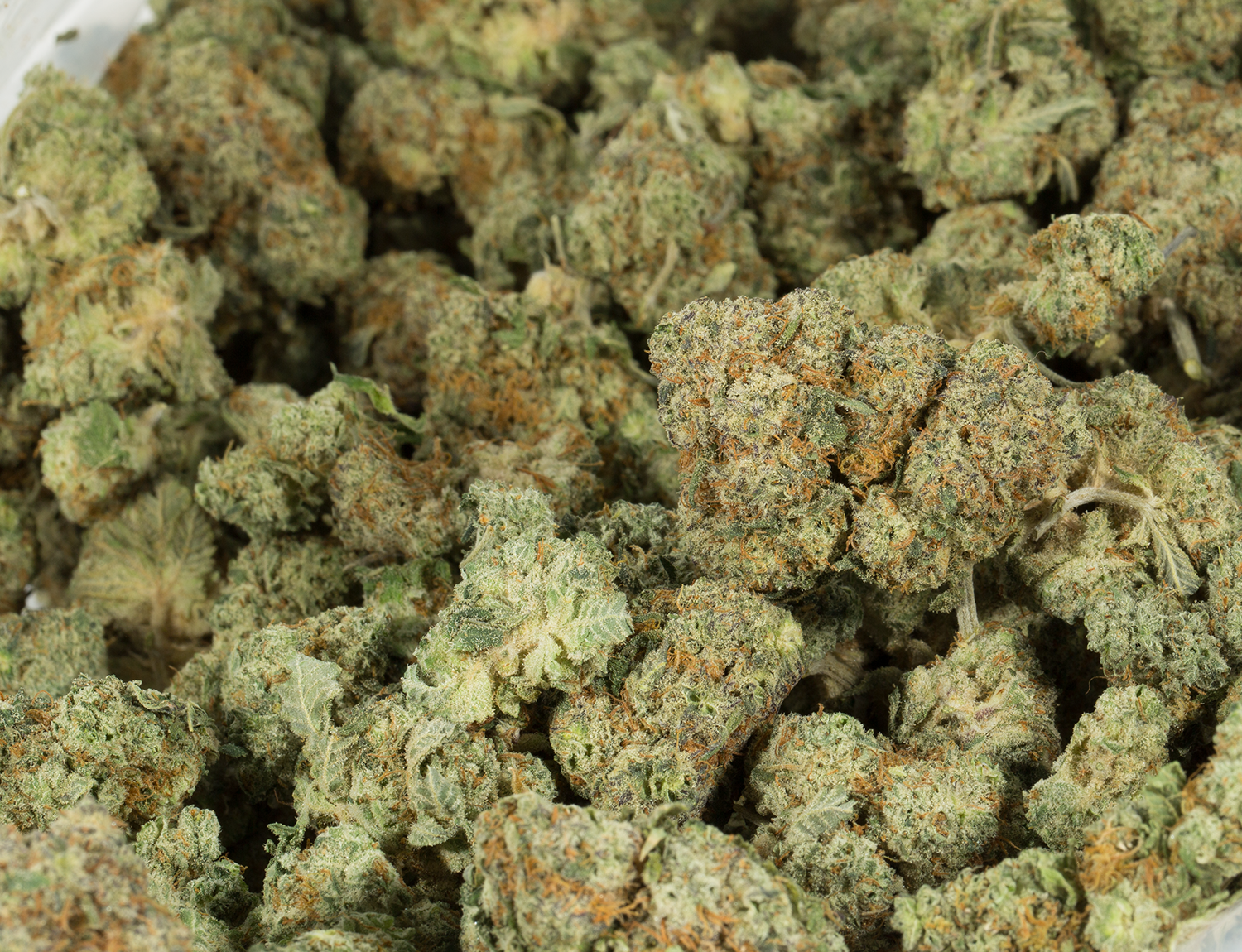 Donkey Butter (AAAA) - Image 4