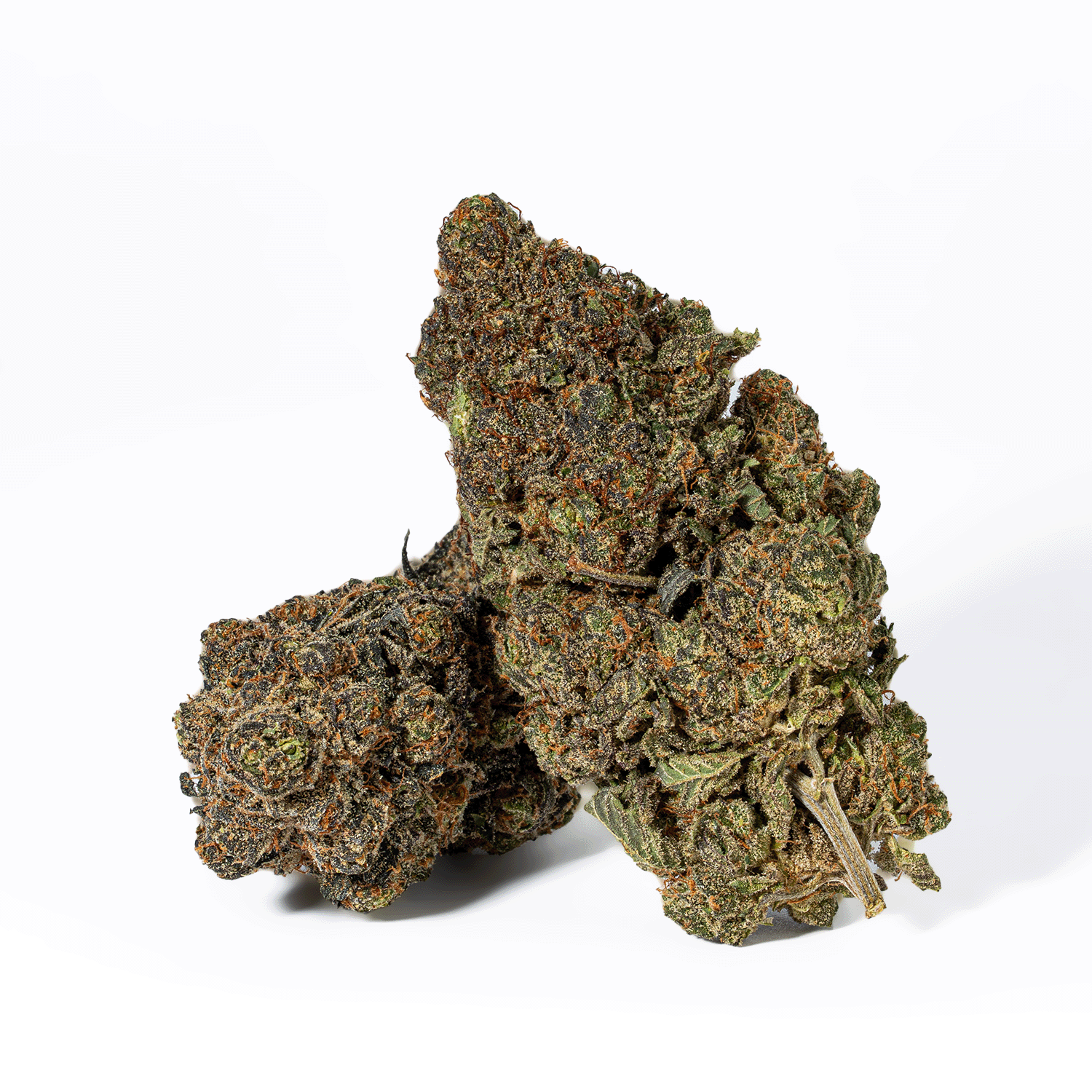 Grunk Panda (AAAA) - Image 2