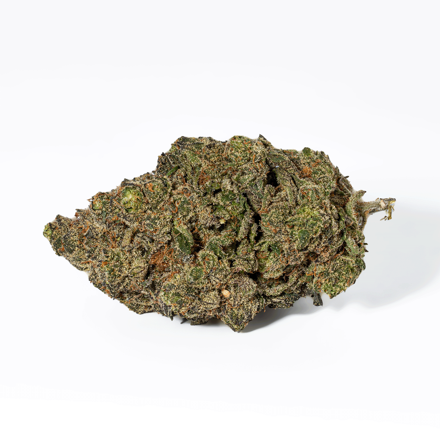 Grunk Panda (AAAA) - Image 5