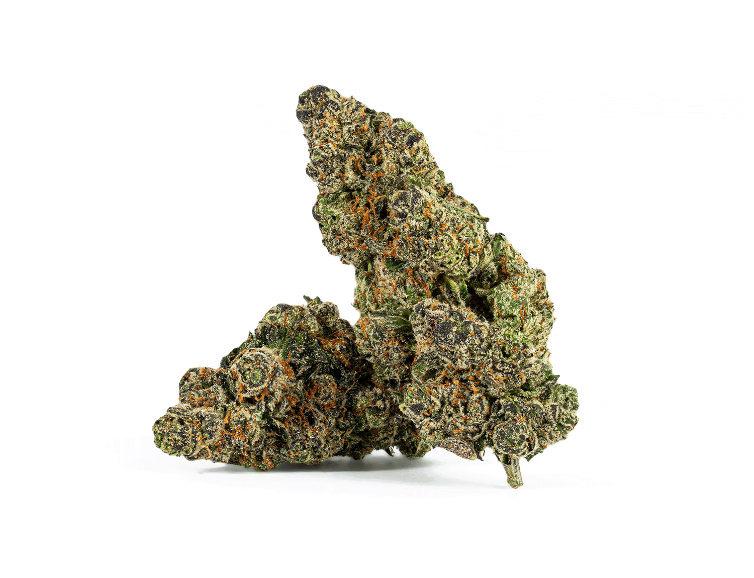 Humboldt Frost (AAAA) - Image 2