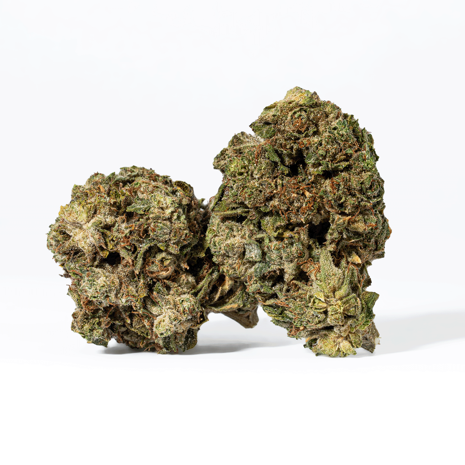 Banana Jelly (AA) - Image 2