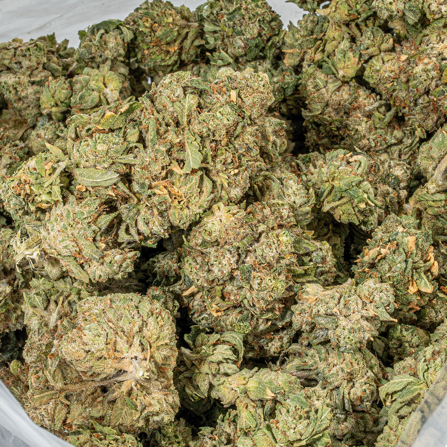 Banana Jelly (AA) - Image 4