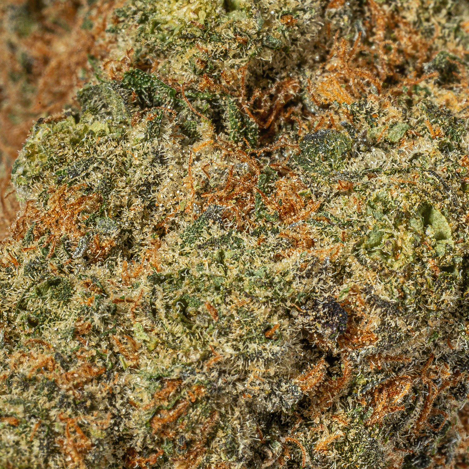 Mystery Ounce (AAA) - Image 20