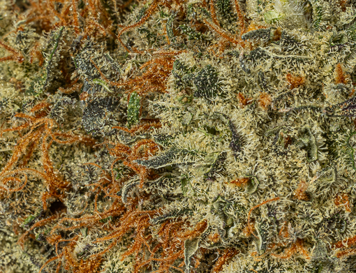 Blackberry Moonrocks (AAA) - Image 2