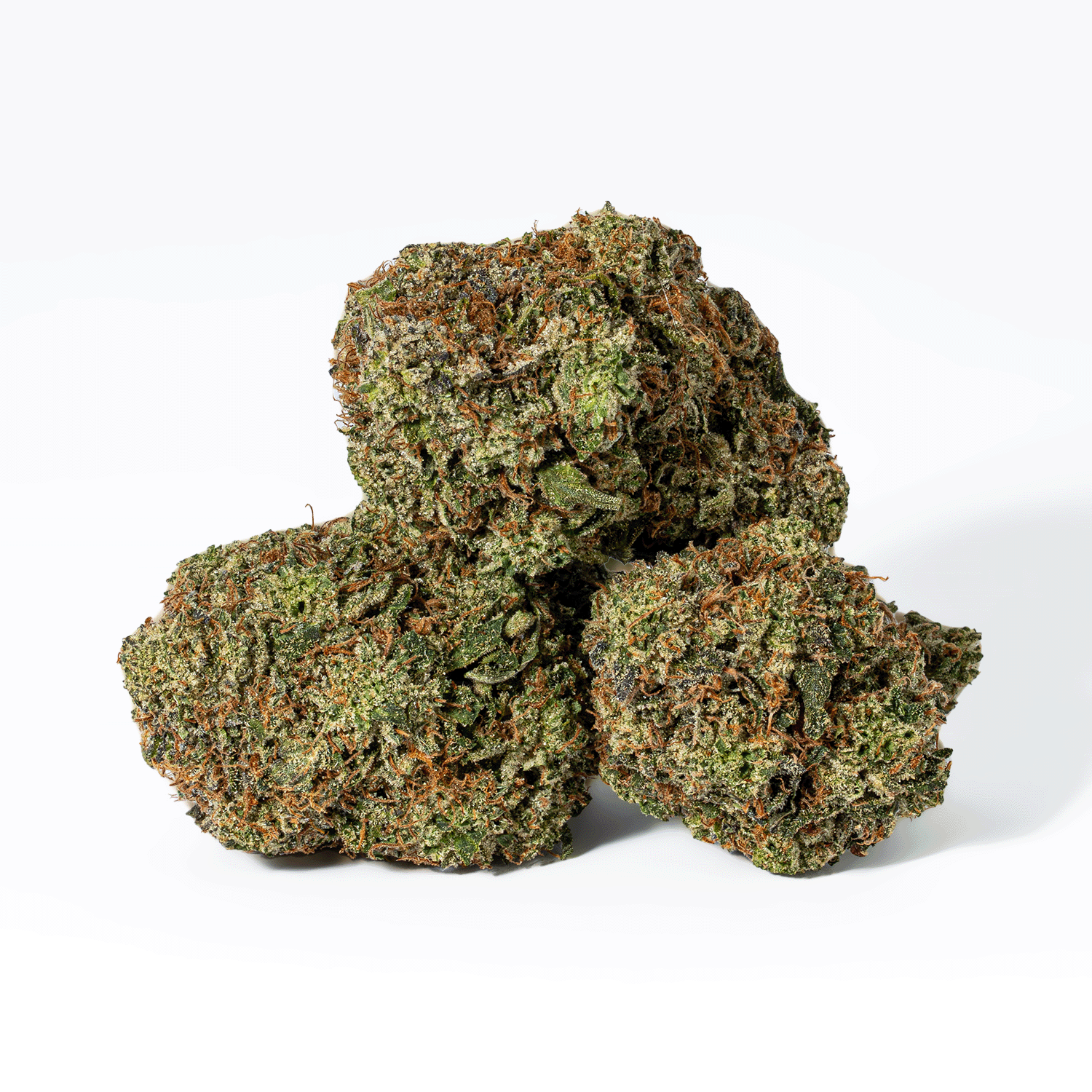 Paradise Waits (AAA+)