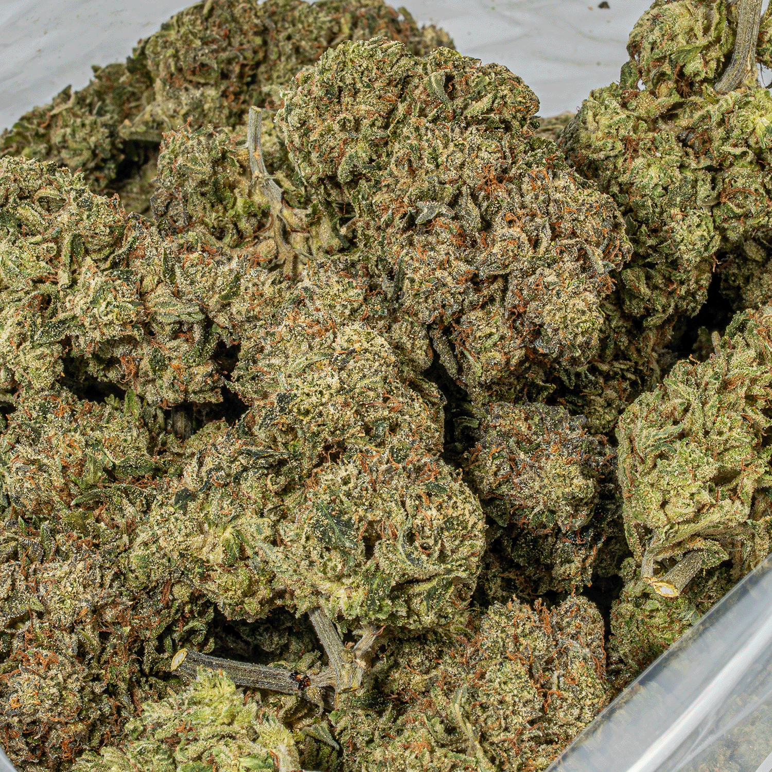 Da Funk (AAAA) - Image 5