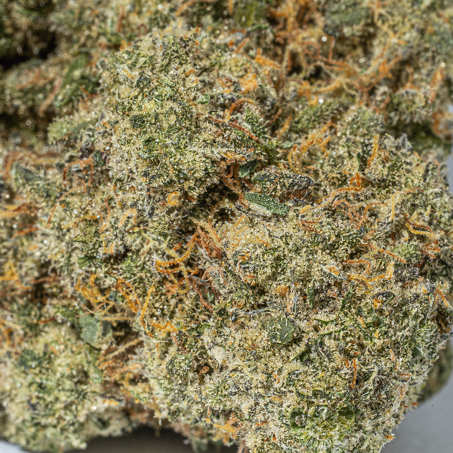 Rainbow Jones (AAAA) - Image 4