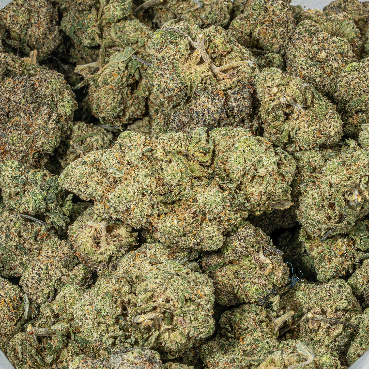 Rainbow Jones (AAAA) - Image 5