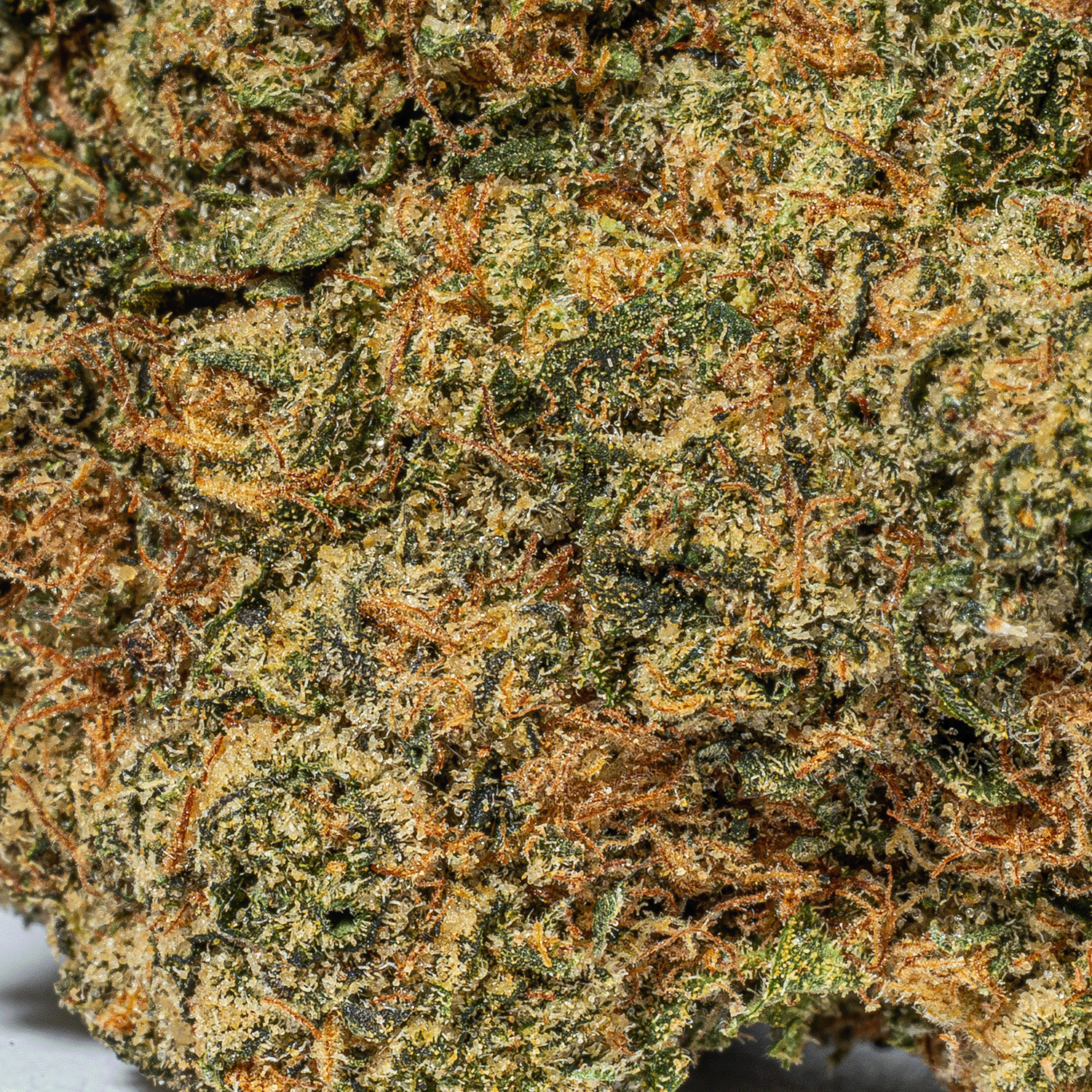 Lime Chernobyl (AAA) - Image 5