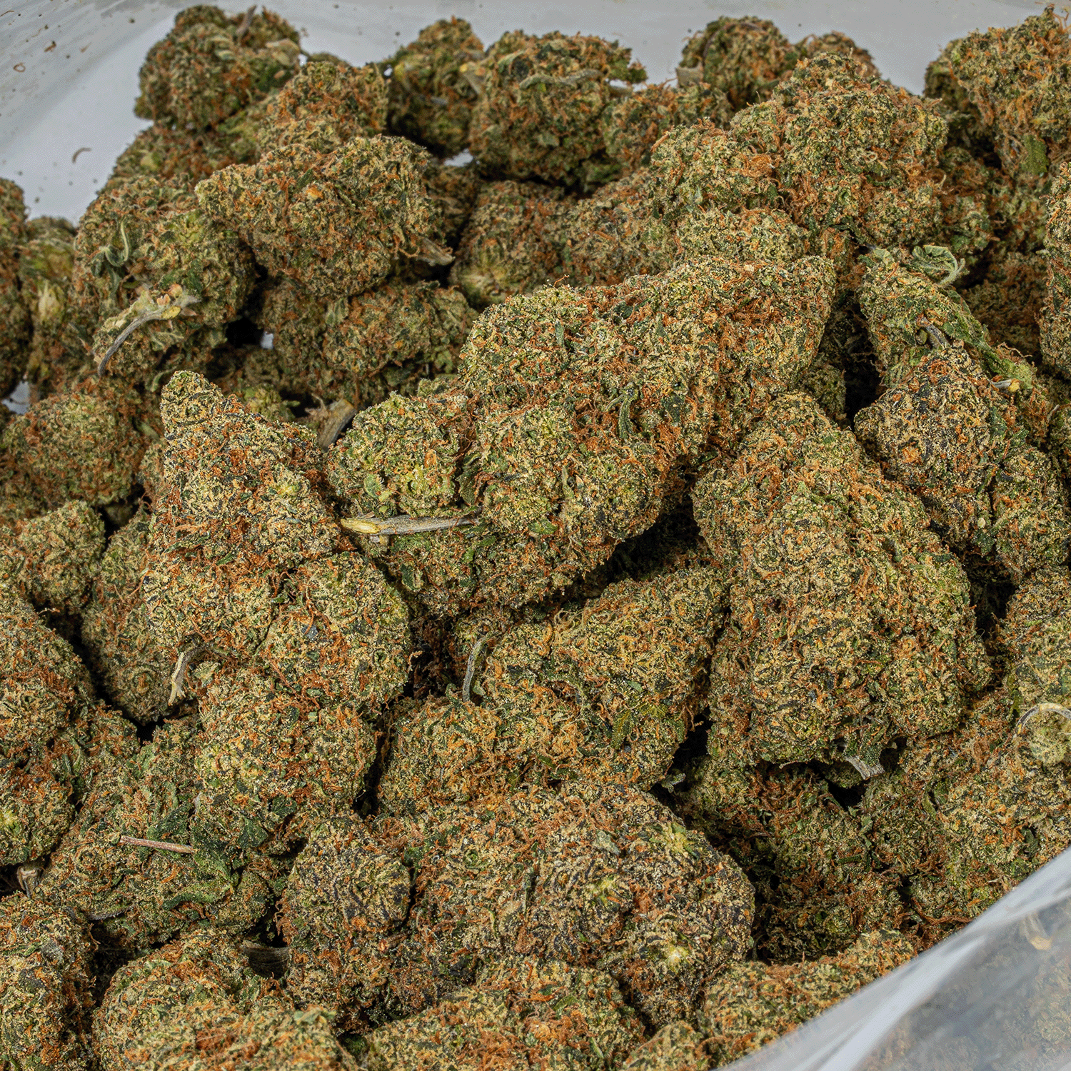 Lime Chernobyl (AAA) - Image 4