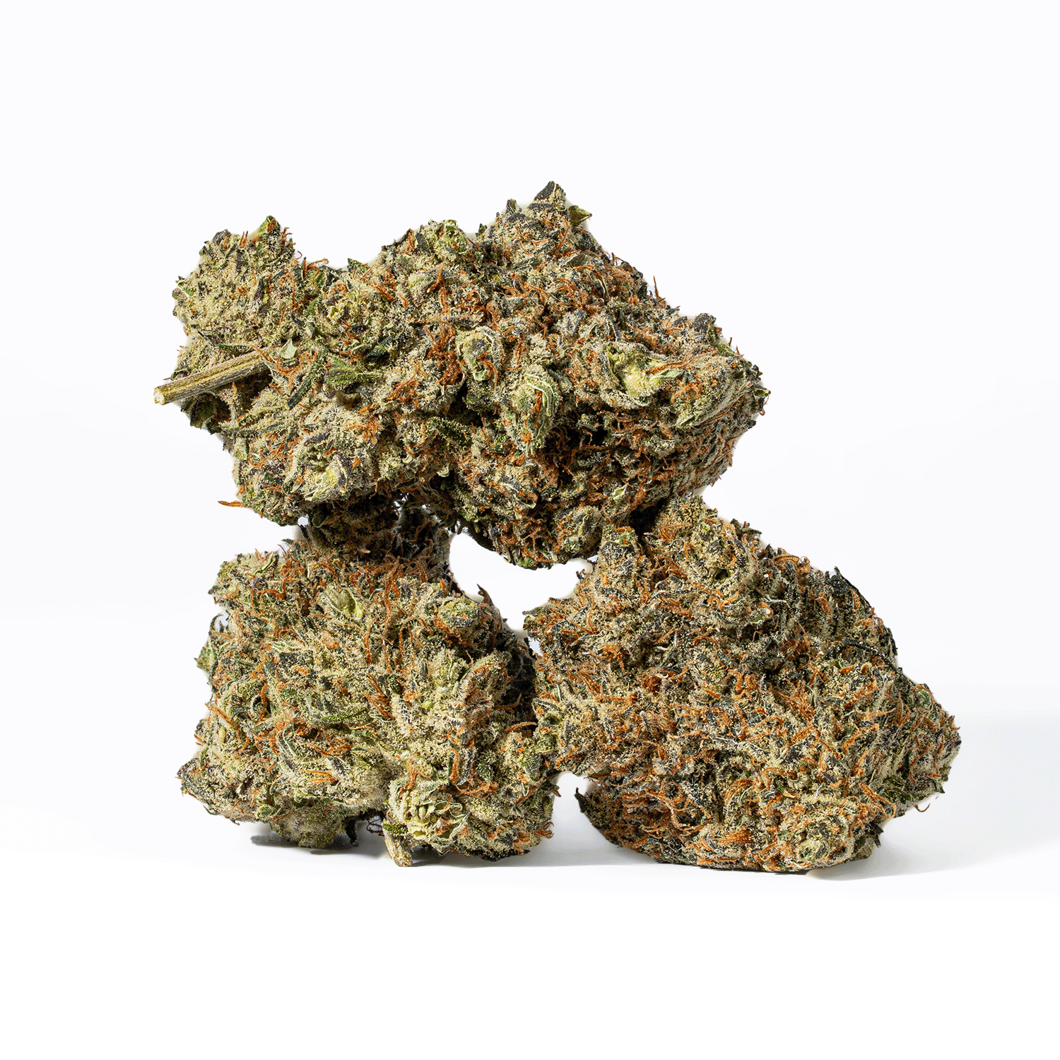 Montana Silver (AAA)