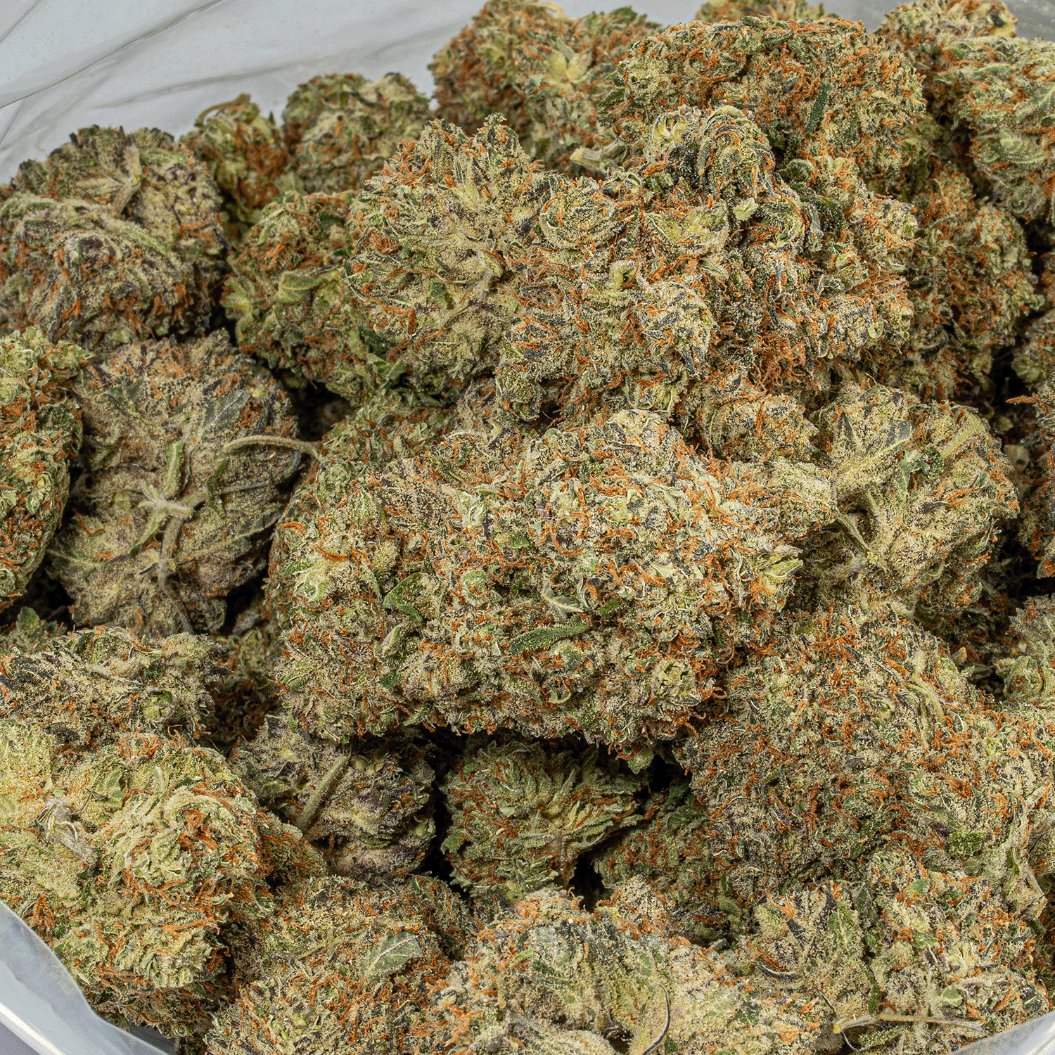 Montana Silver (AAA) - Image 4