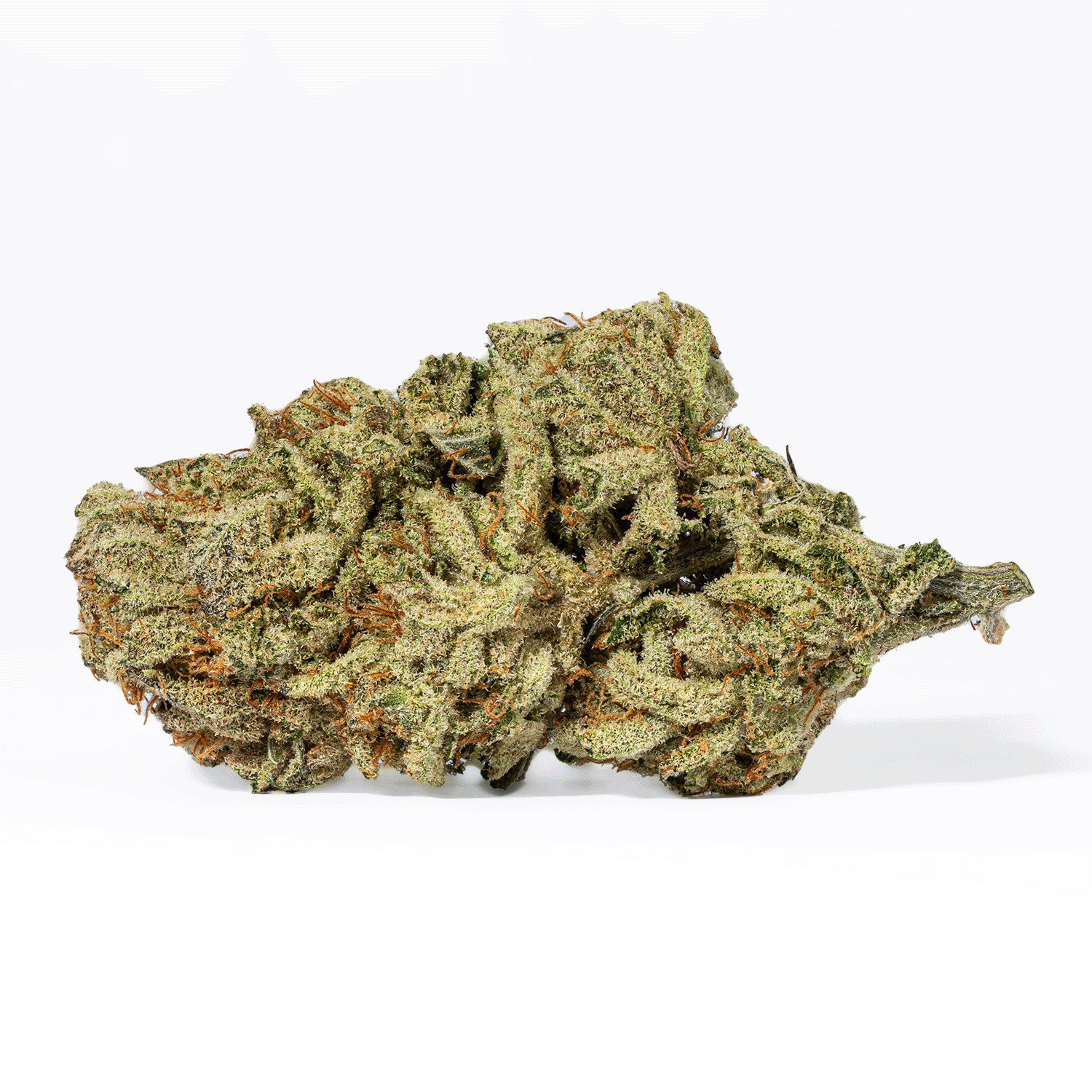 Jasmine Thai (AAA+) - Image 3