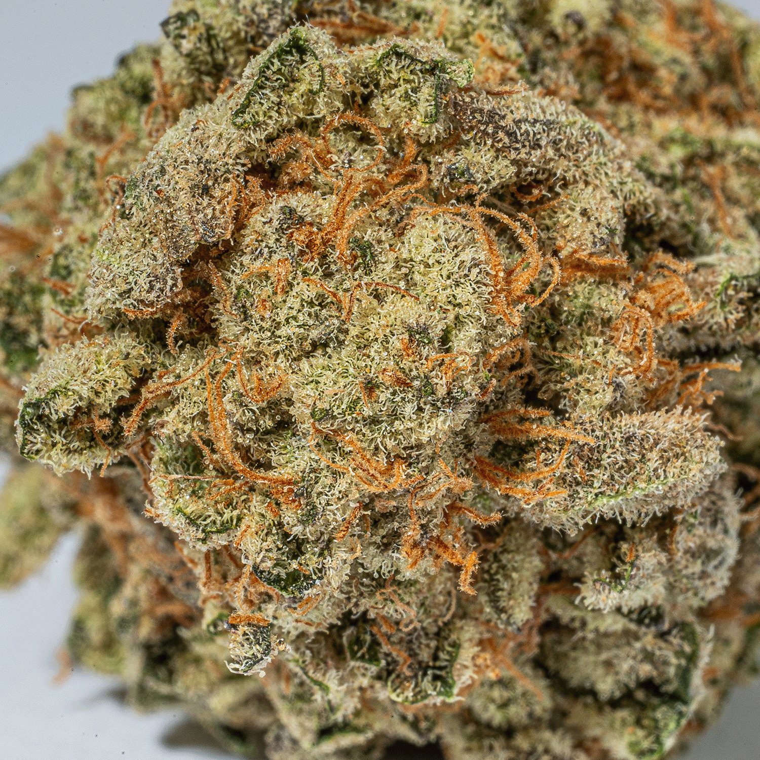 Jasmine Thai (AAA+) - Image 4