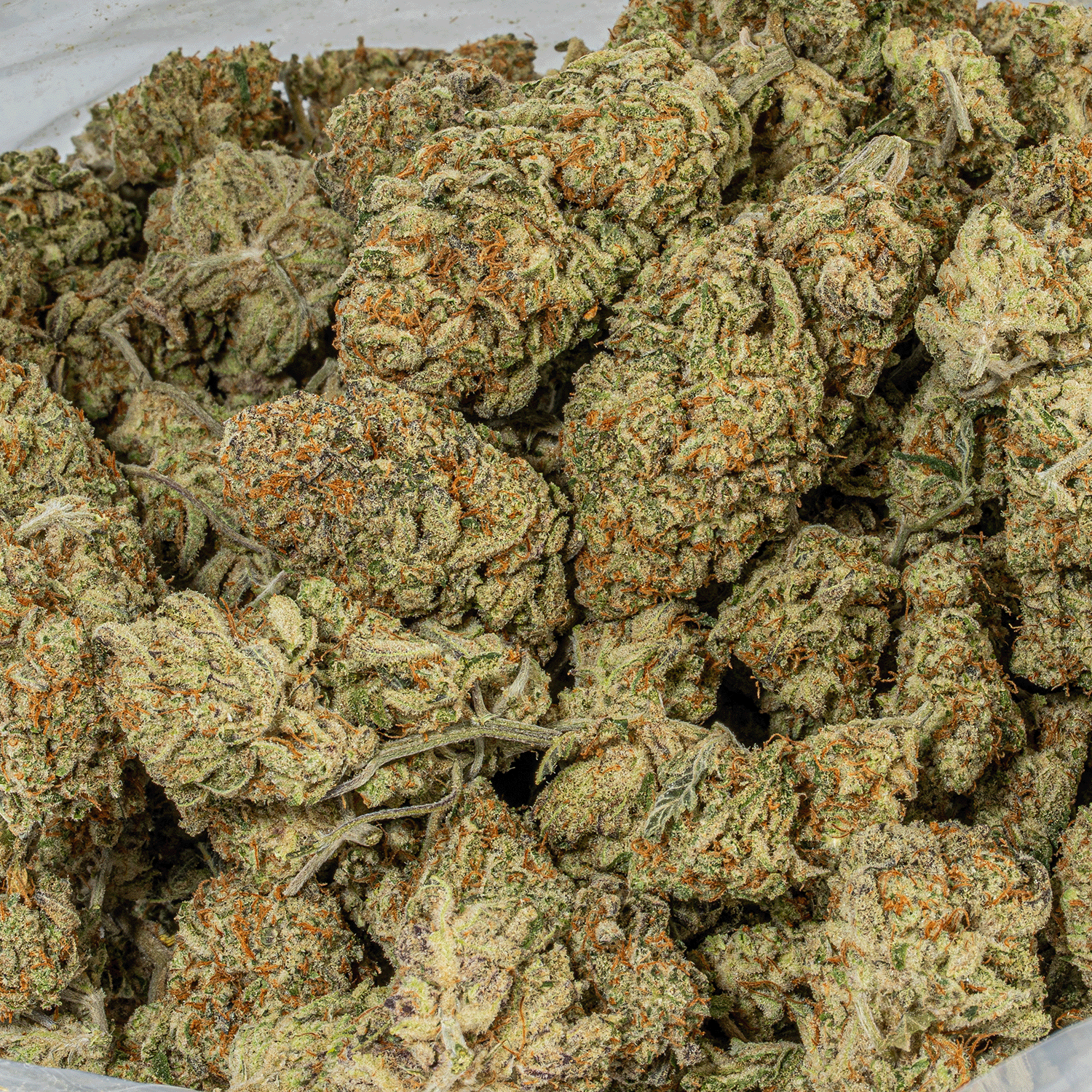 Jasmine Thai (AAA+) - Image 5