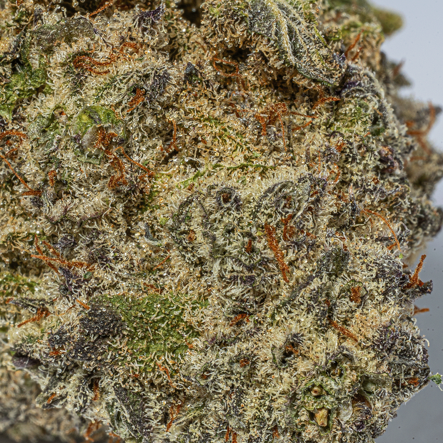 Unicorn Poop (AAAA+) - Image 5