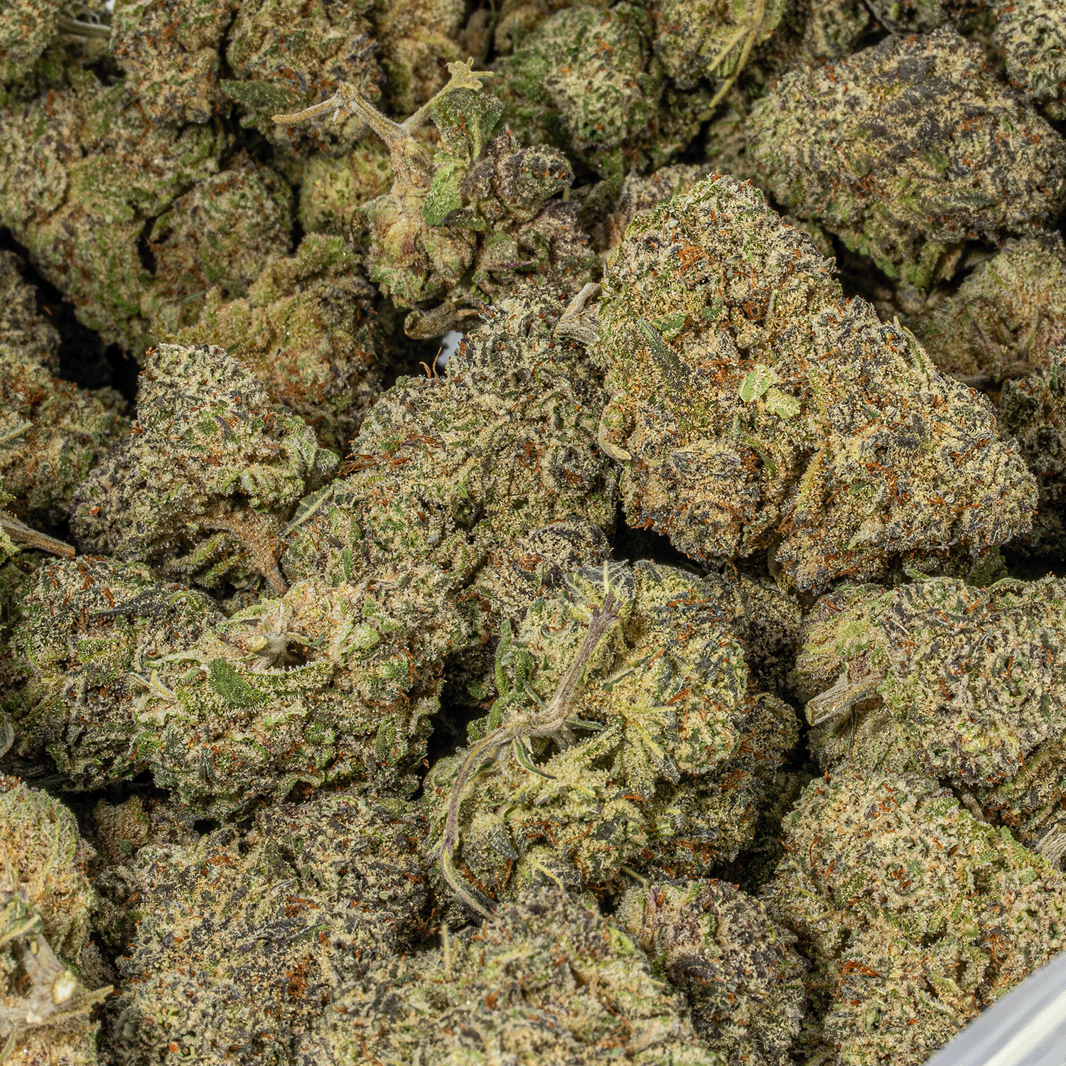 Unicorn Poop (AAAA+) - Image 4