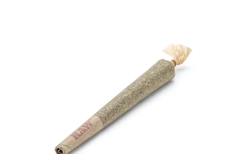 Freebies - Free Pre-Roll