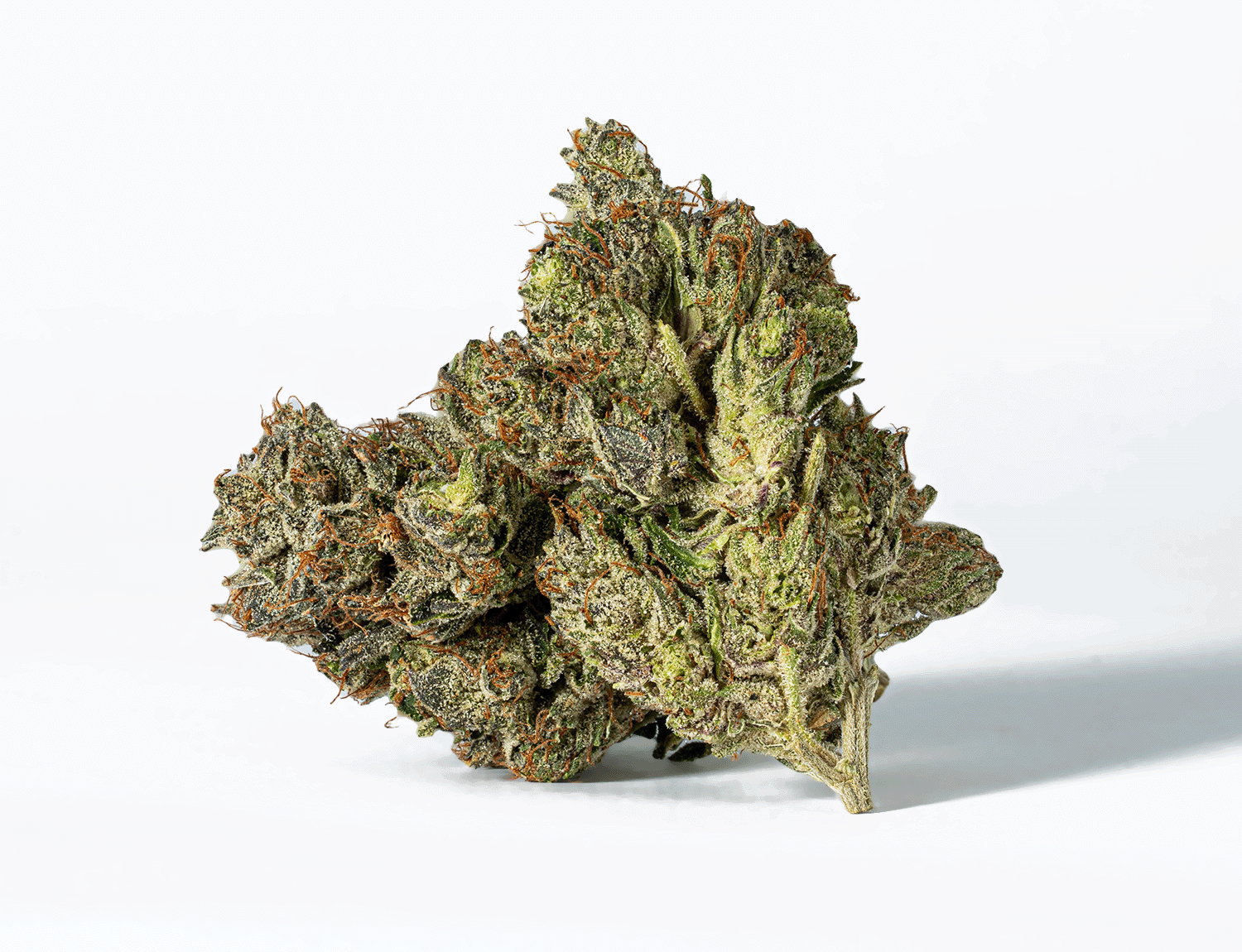 Ghost Ship (AAA+) - Image 3