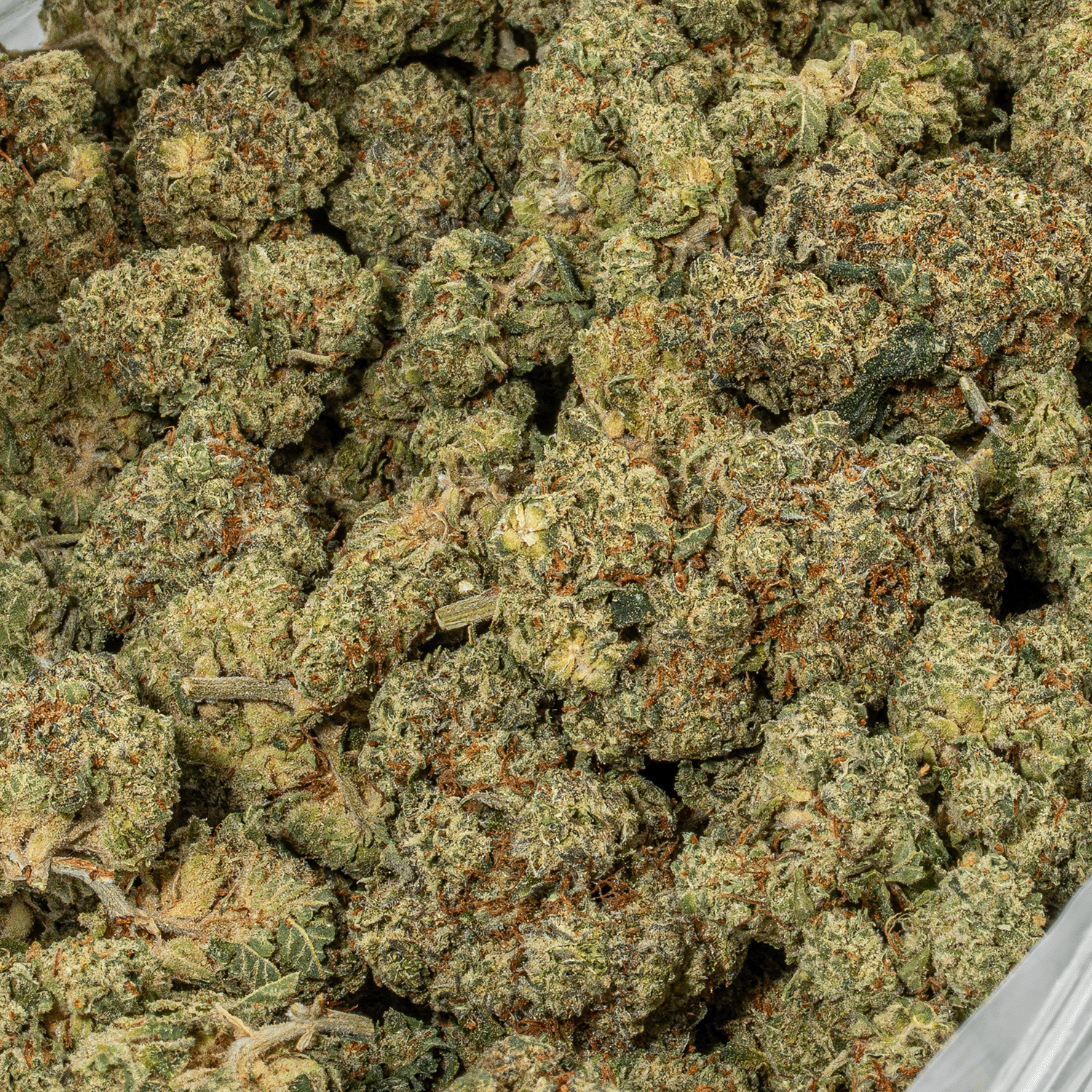 Wedding Cake (AA+) - Image 5