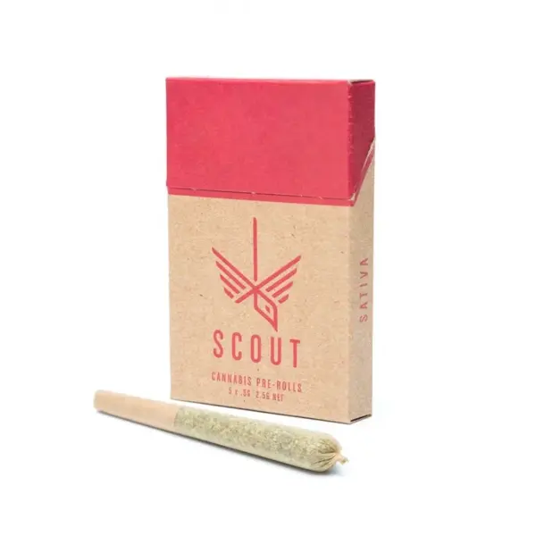 Scout - 5 Pack Pre-Rolls (0.5g) - Sativa