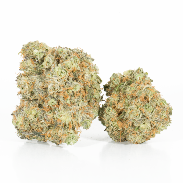 Blackberry x Blueberry (AA+)