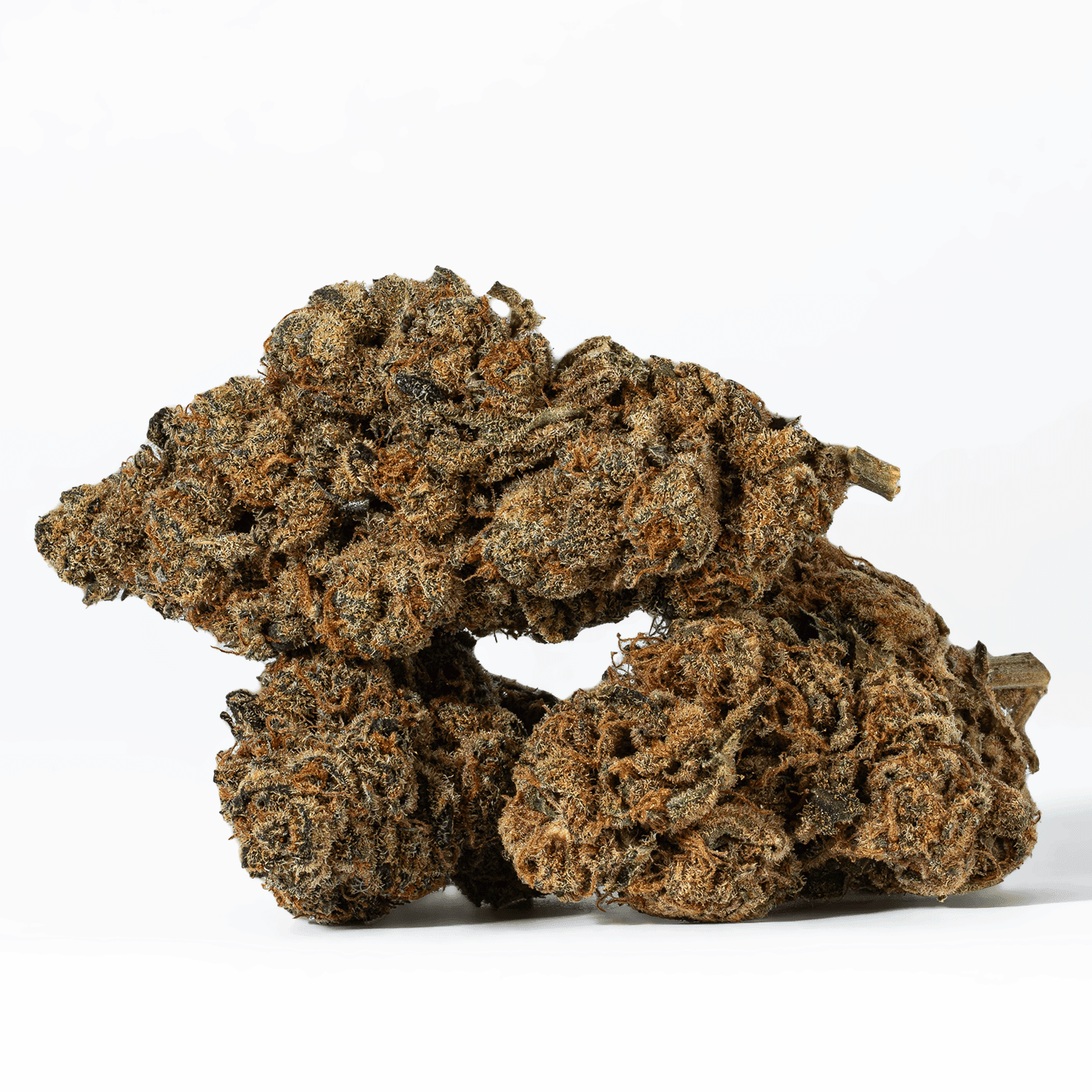 Blue Java (AA) - Image 2