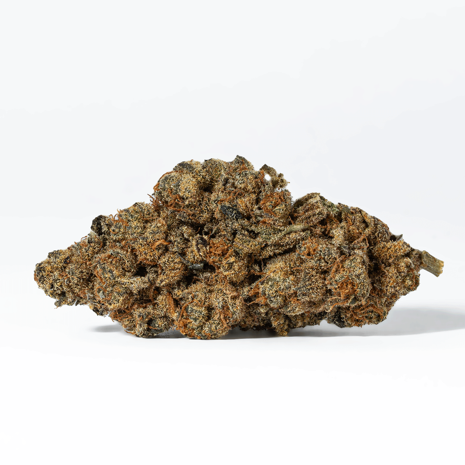 Blue Java (AA) - Image 3