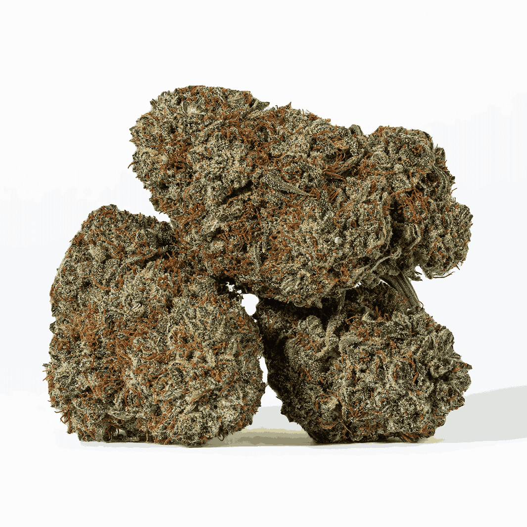 Endless Summer (AAA) - Image 2