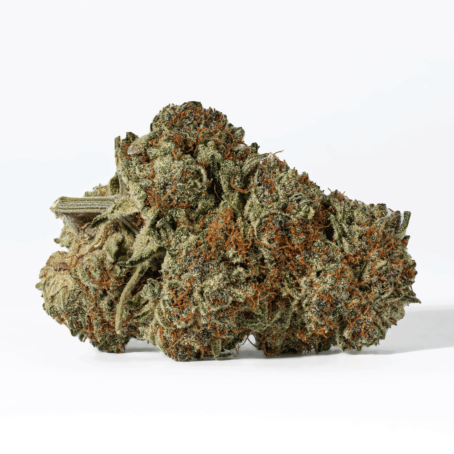 Endless Summer (AAA) - Image 3