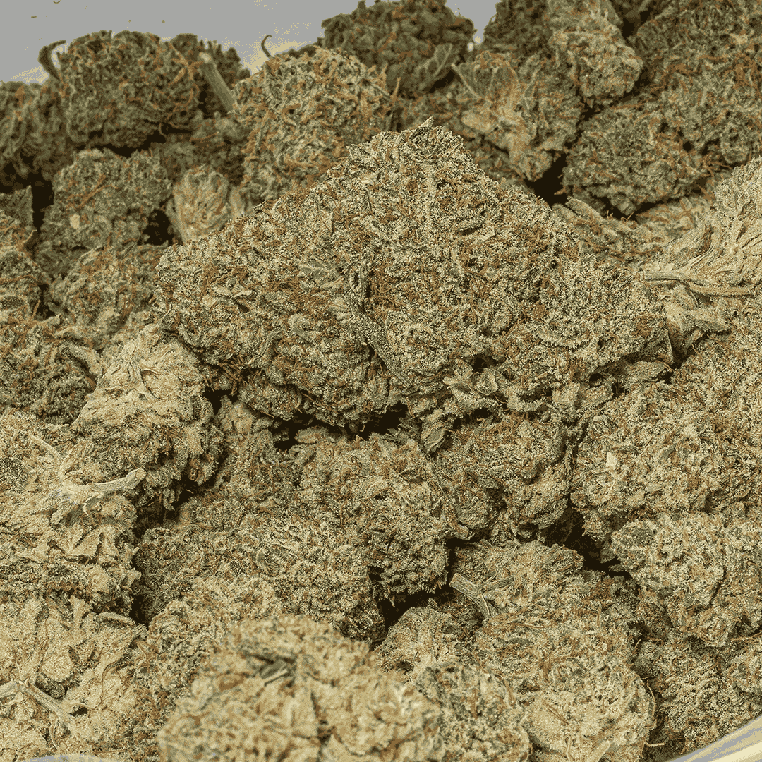 Endless Summer (AAA) - Image 4