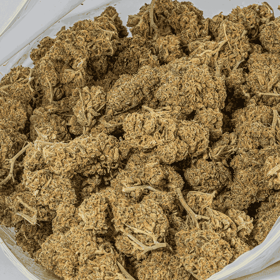 Flap Jack (AA) - Image 4