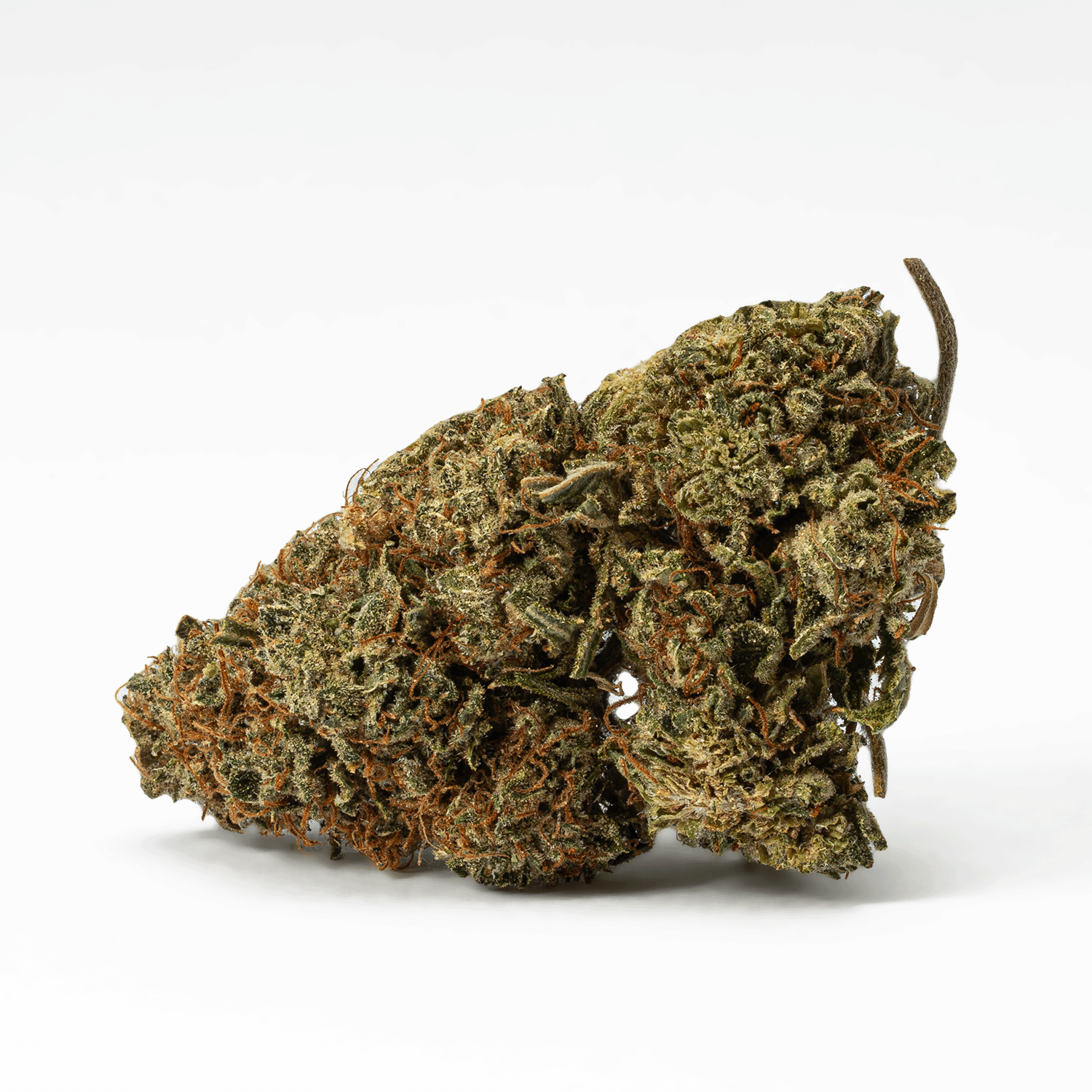 Jack Herer (AA) - Image 3