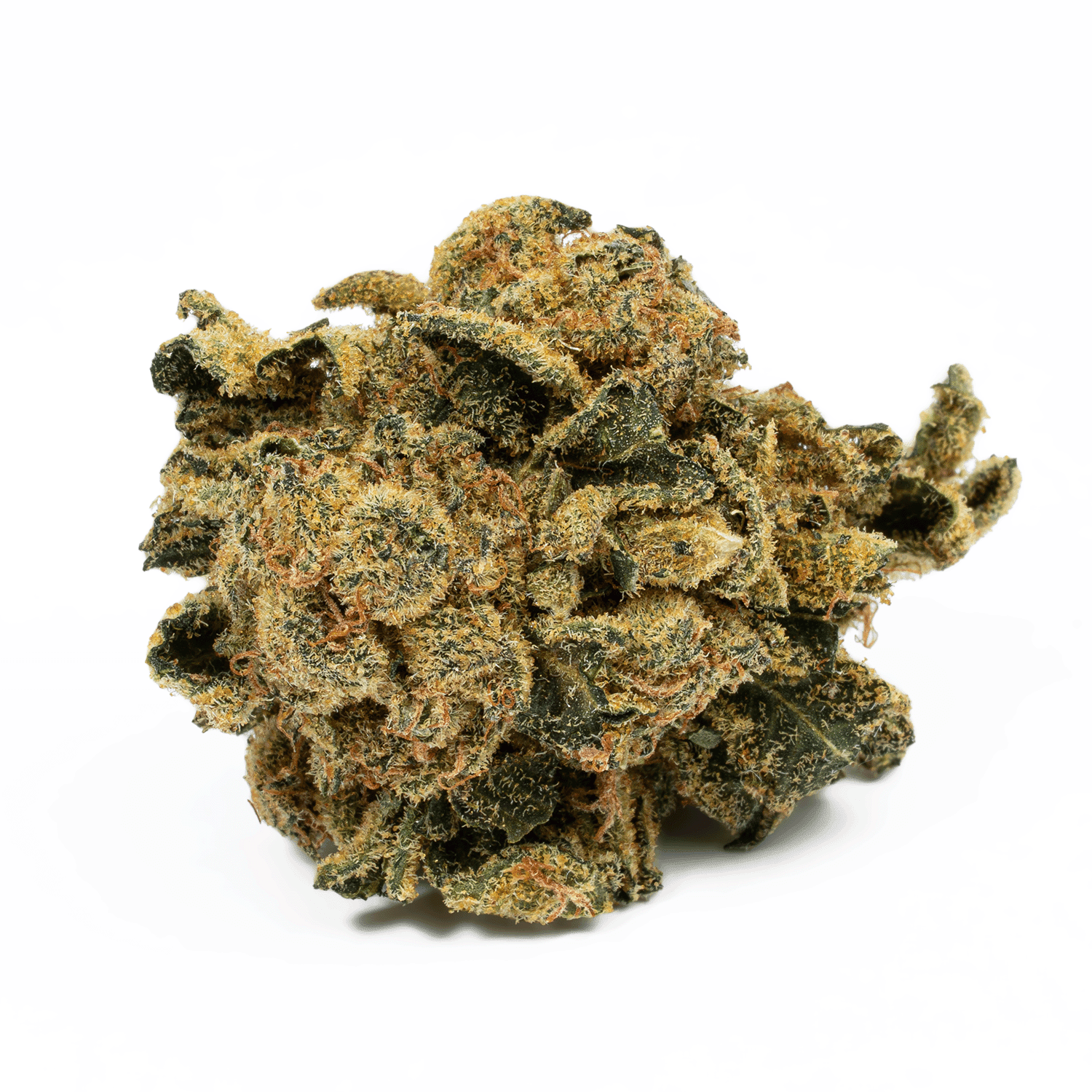 Lemon Skunk (AA) - Image 3