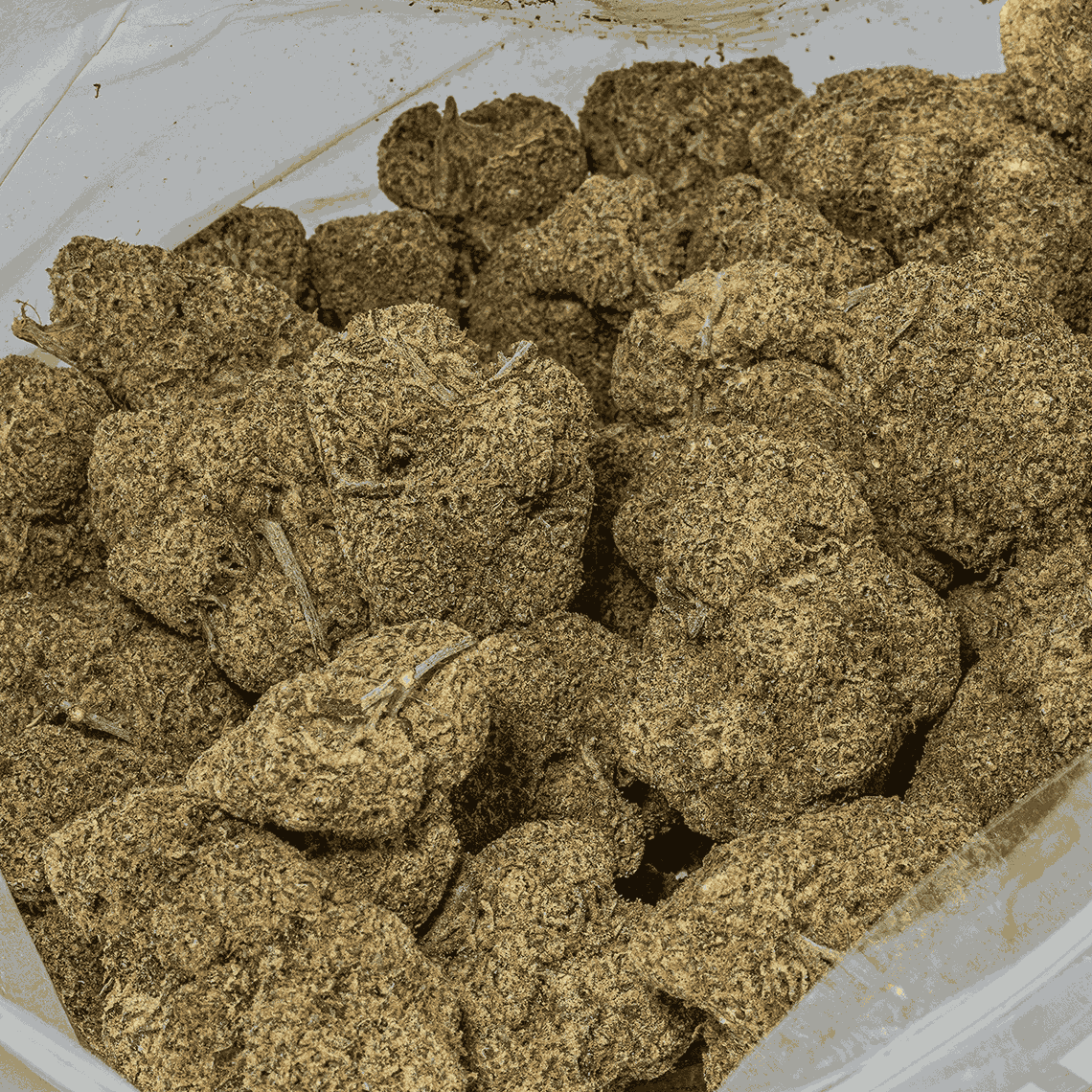 Monster Berry (AA+) - Image 4