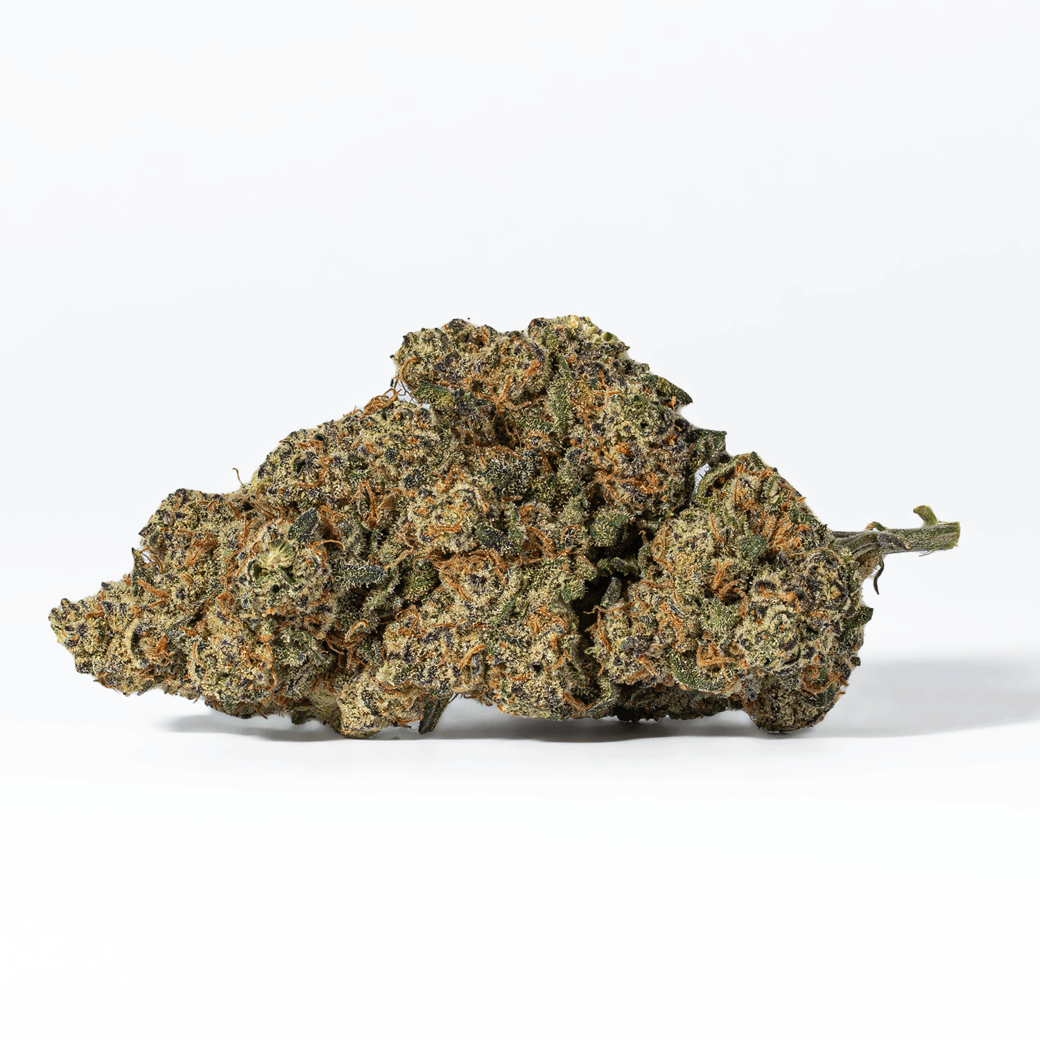 Nuken (AA+) - Image 3