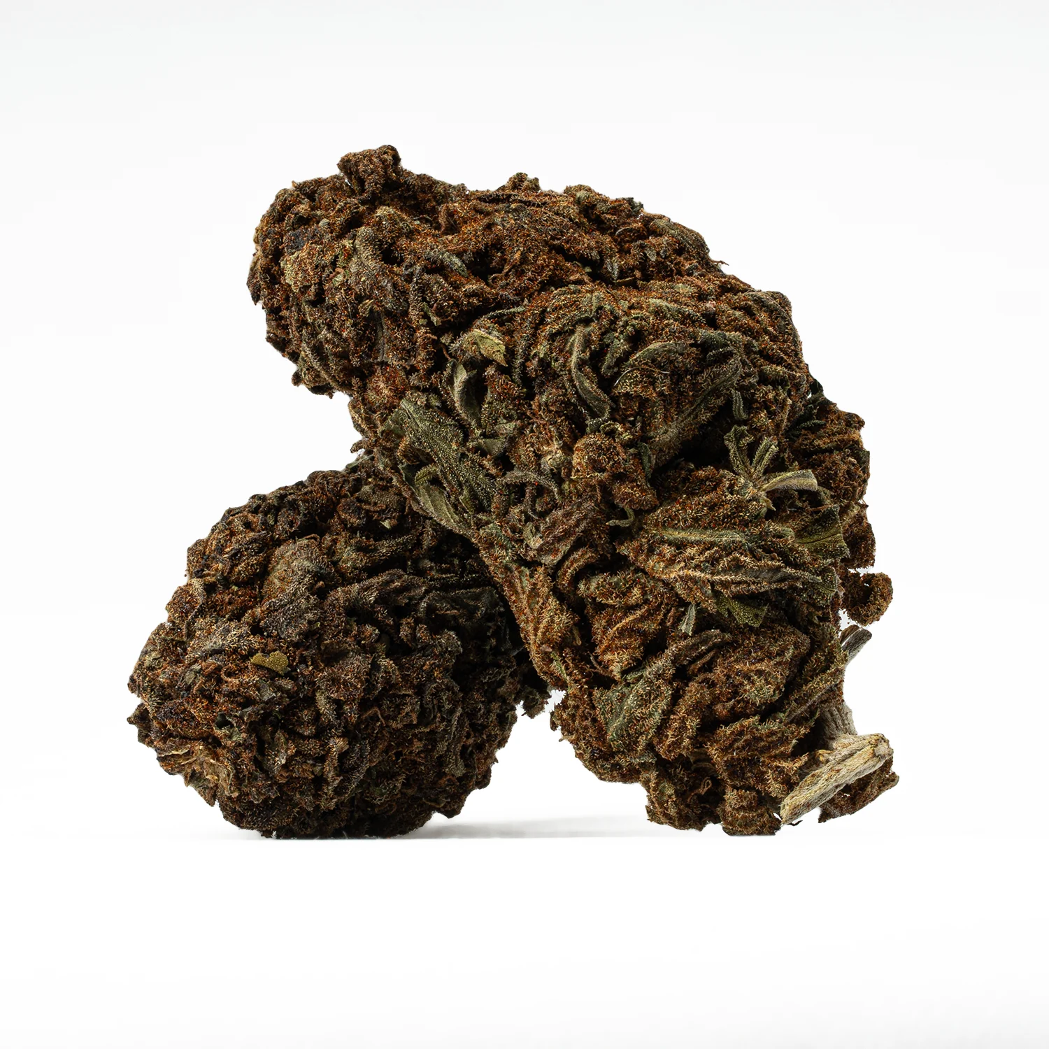 Black Jack (A) - Image 4