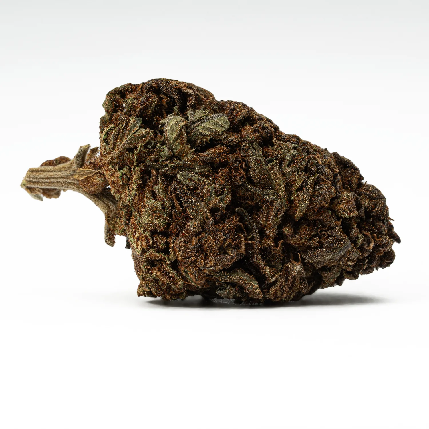 Black Jack (A) - Image 3