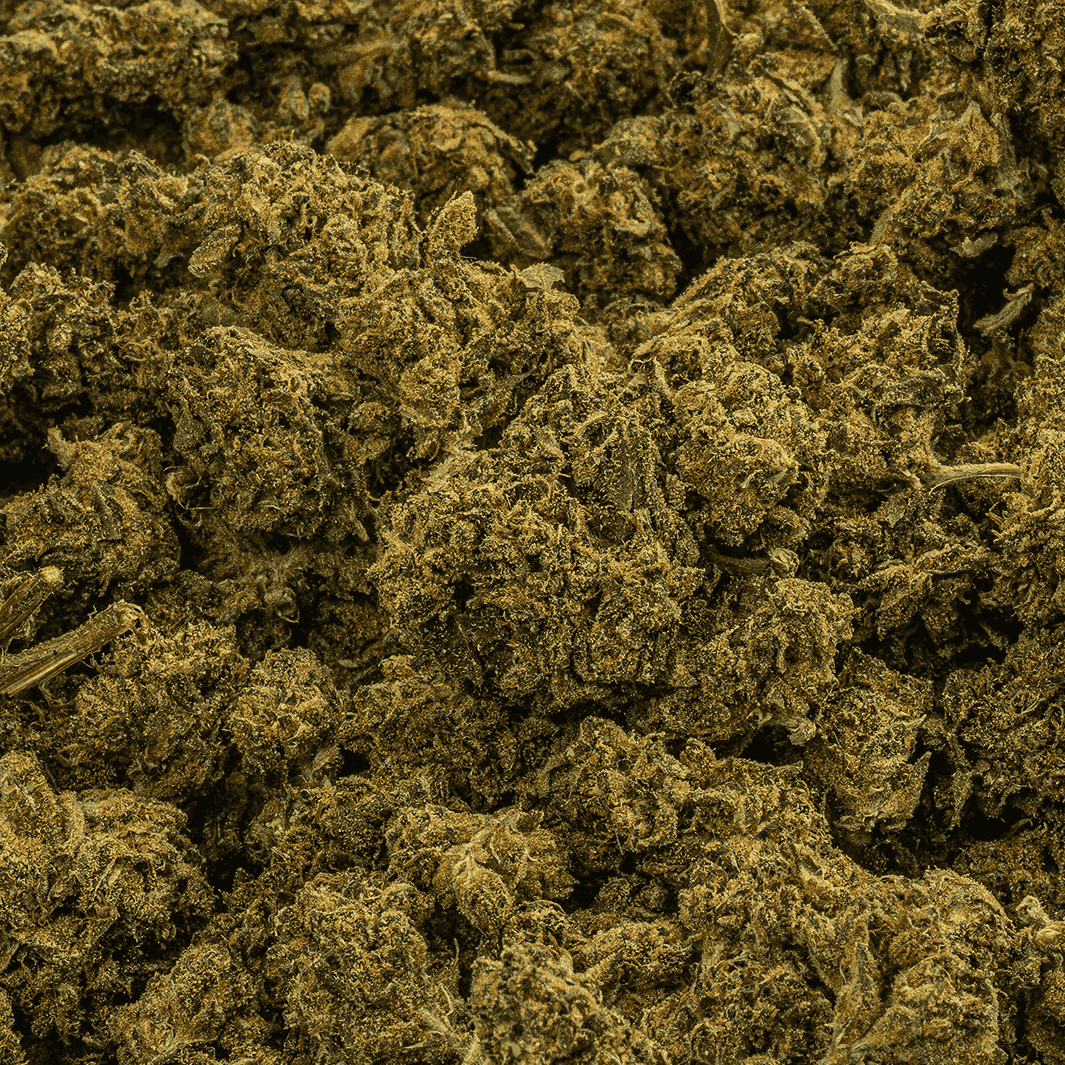 Durban Poison (AA) - Image 4